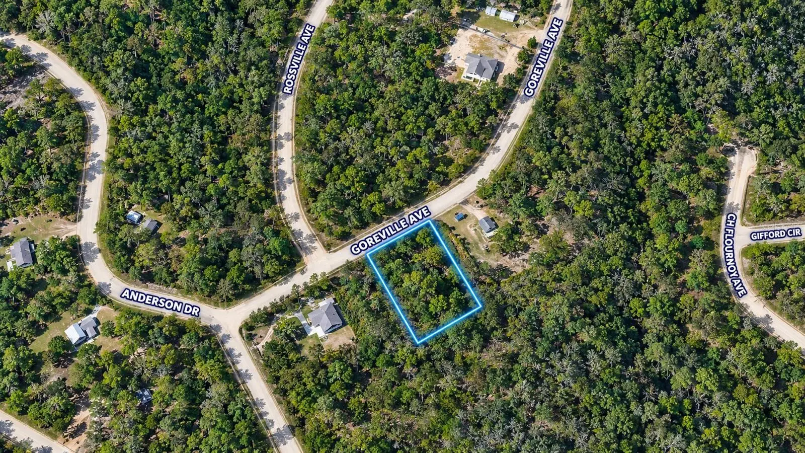 Goreville Avenue, FL