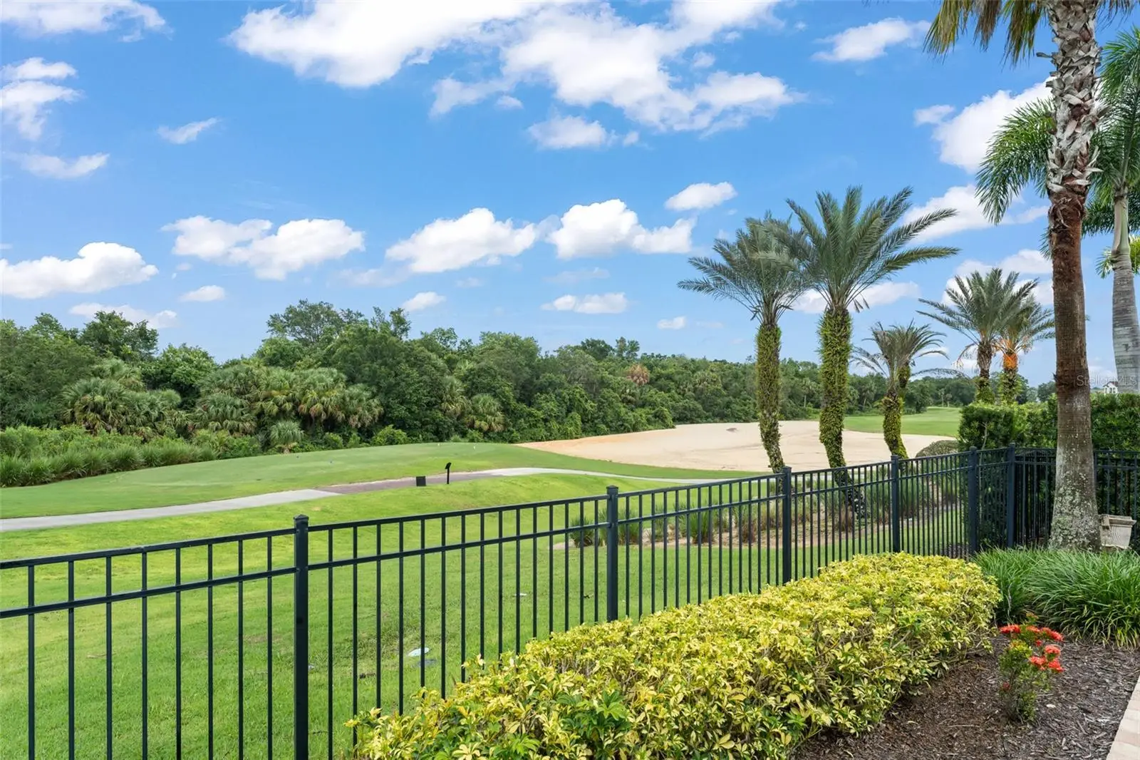 717 Desert Mountain Court, FL