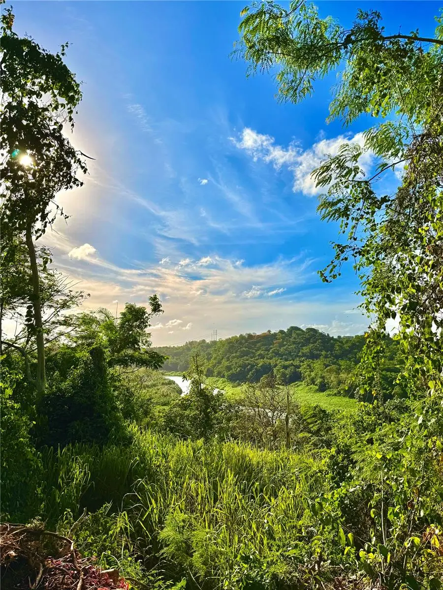 Barrio Cacao, PR