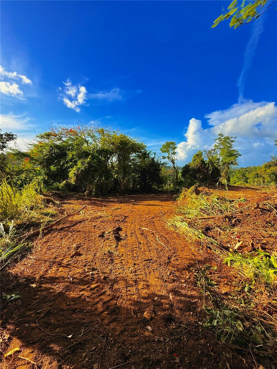 Bo. Cacao, PR