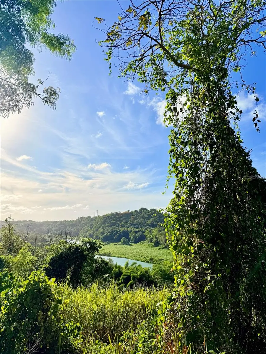Bo. Cacao, PR