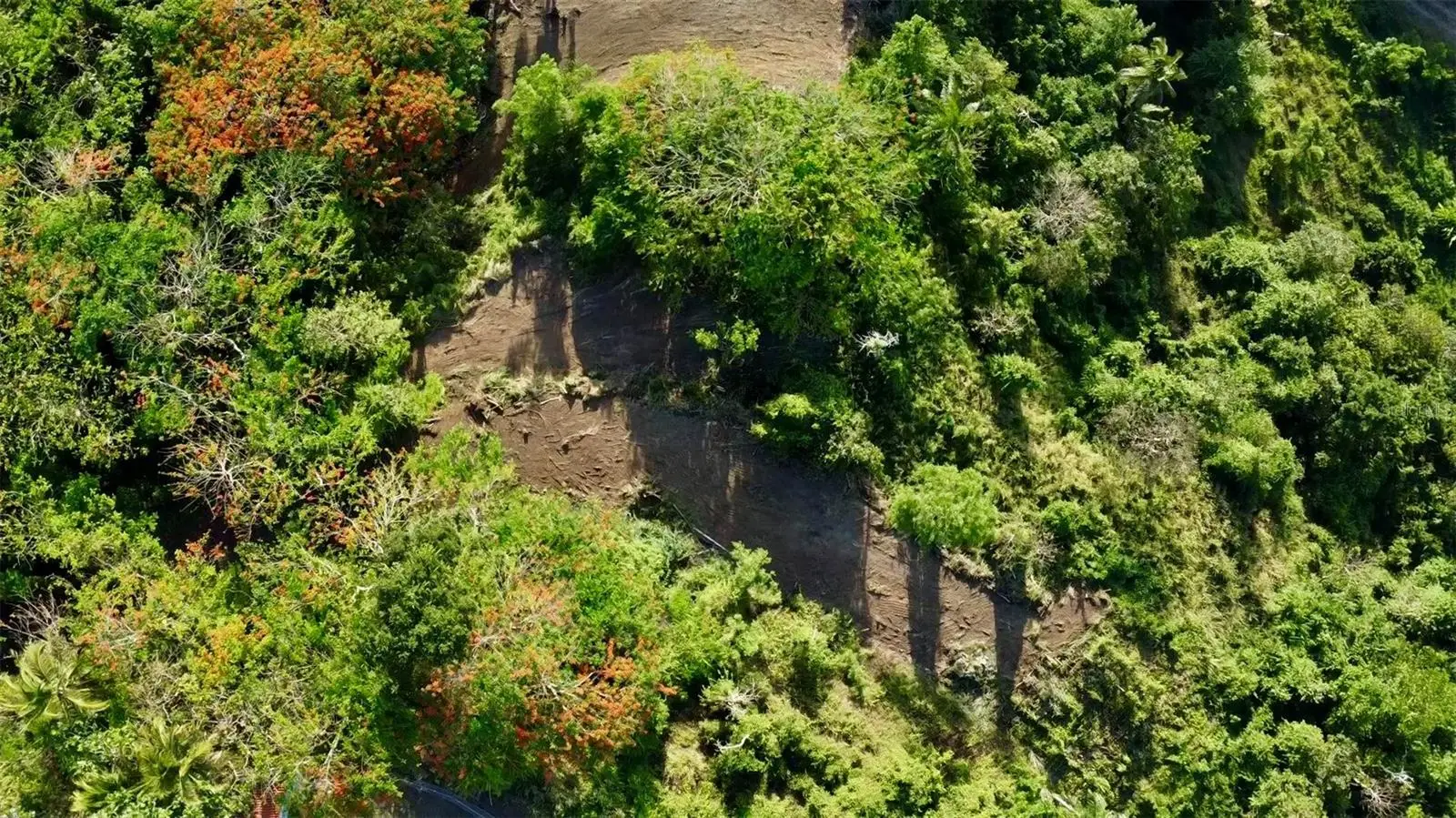 Bo. Cacao, PR
