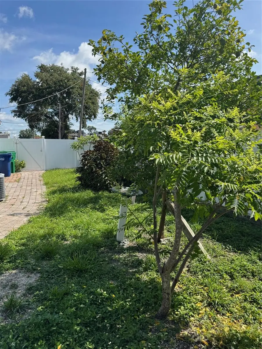 3322 Saint Joseph Street, FL