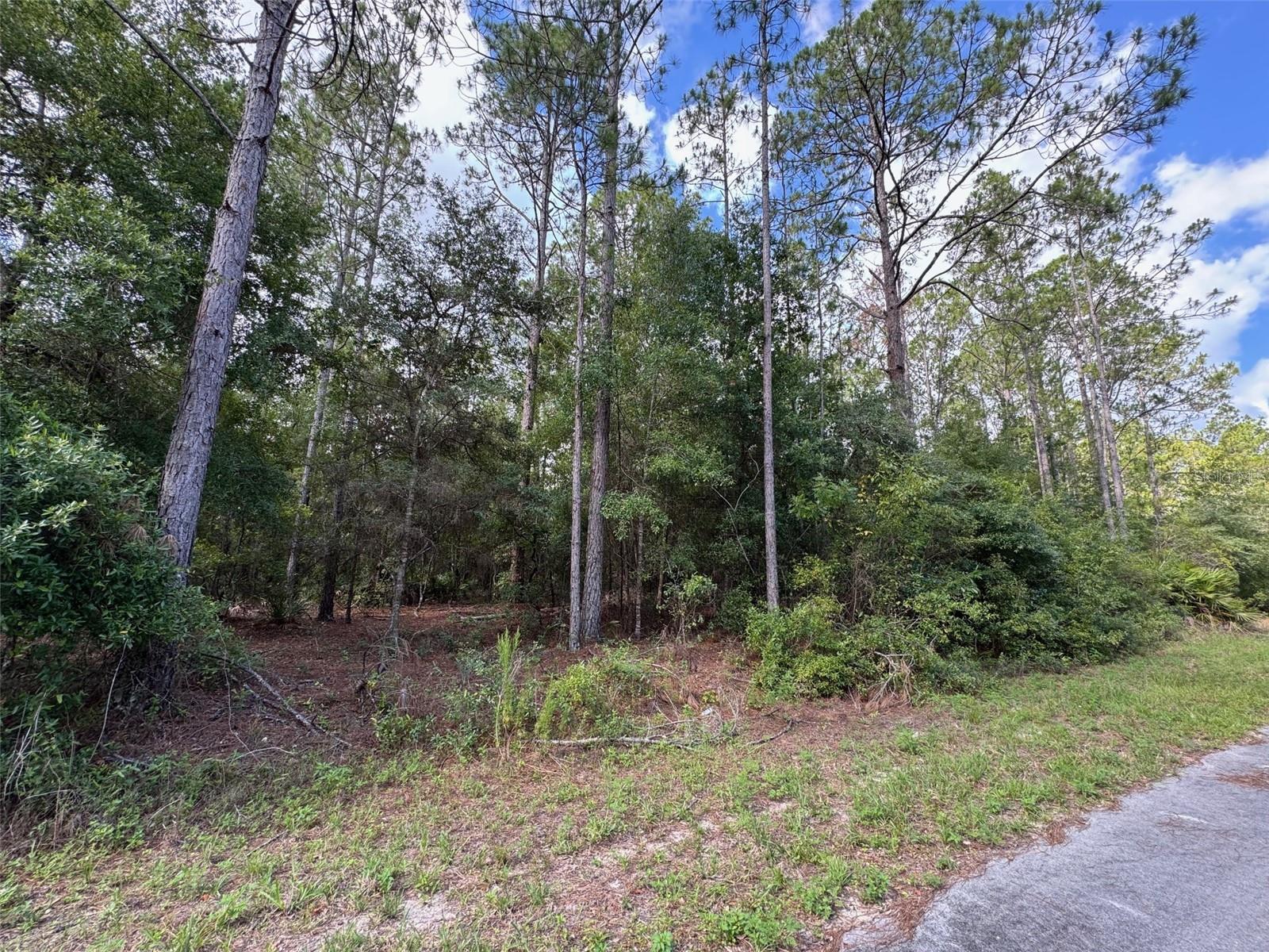 Lot#11 South Beach Court, FL
