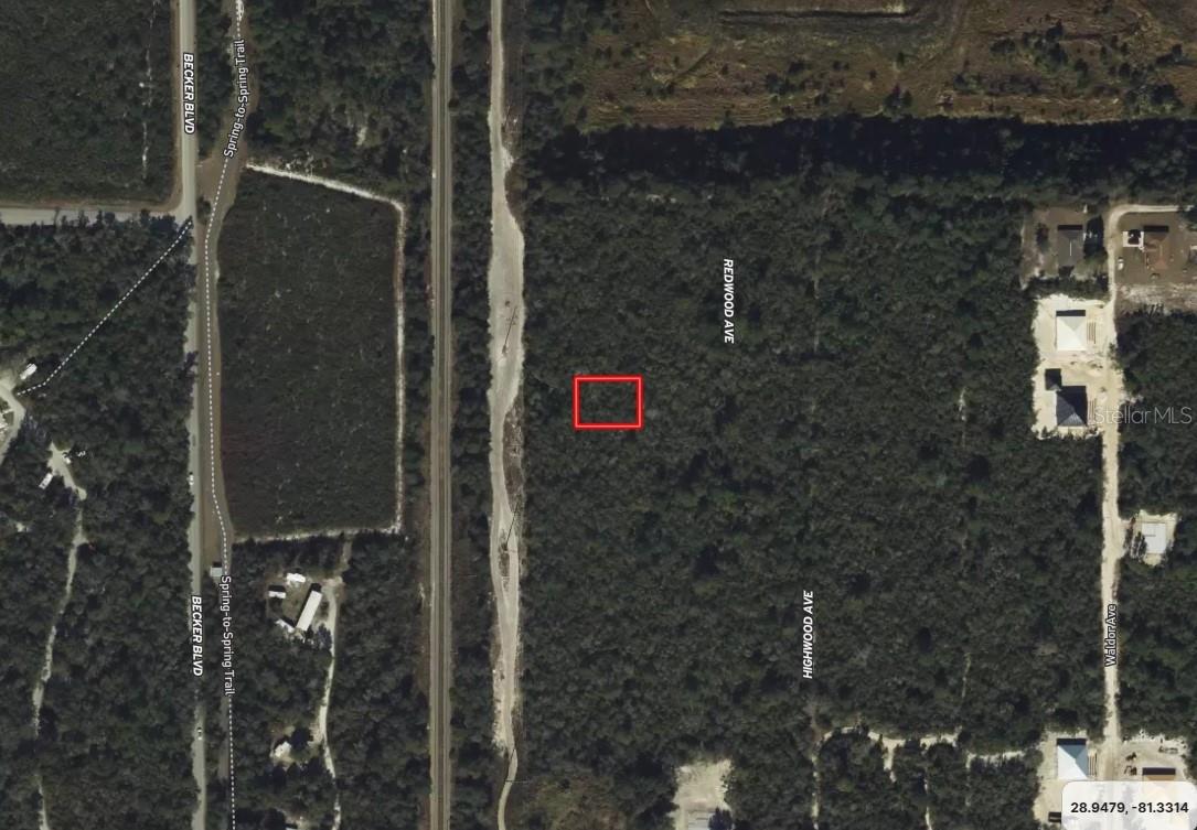 Riegel (Paper) Avenue, FL