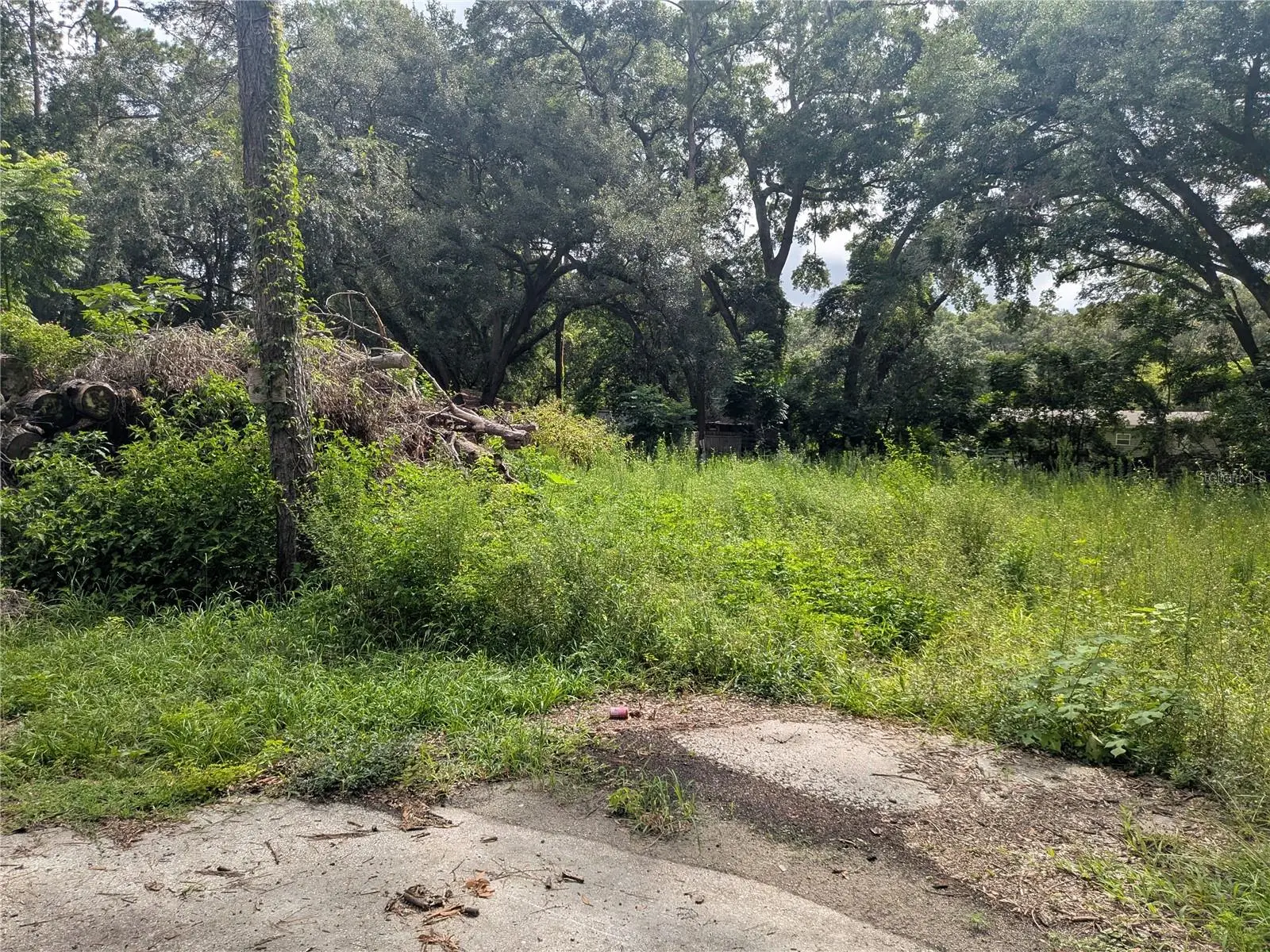 6667 61st Court, FL
