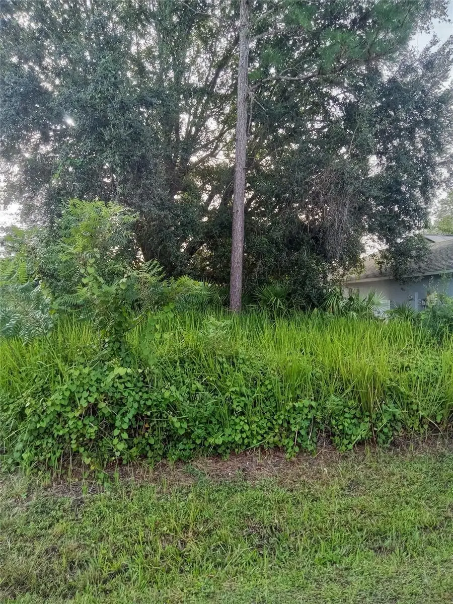 Maricopa Drive, FL