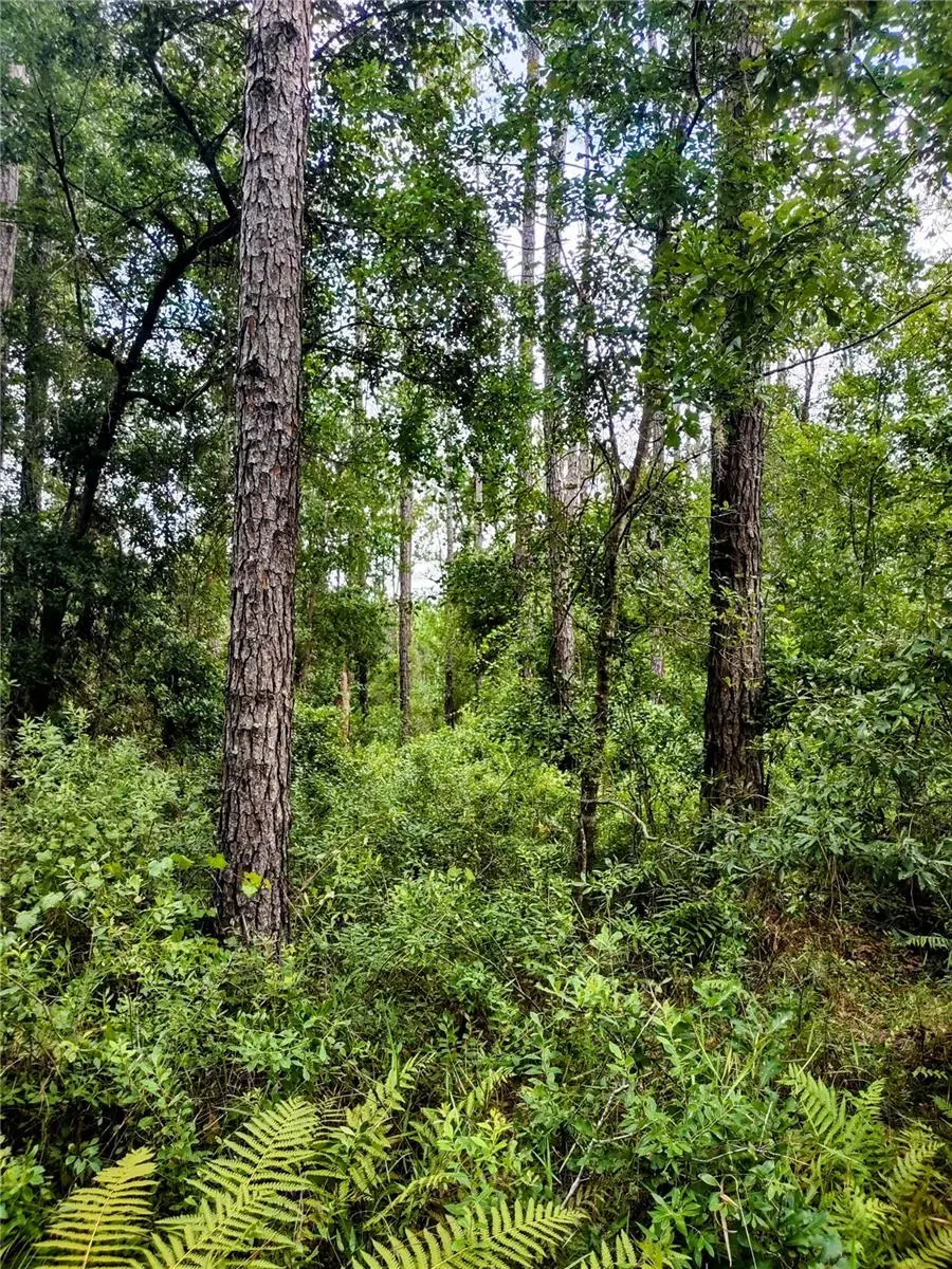 4651 108th Place, FL