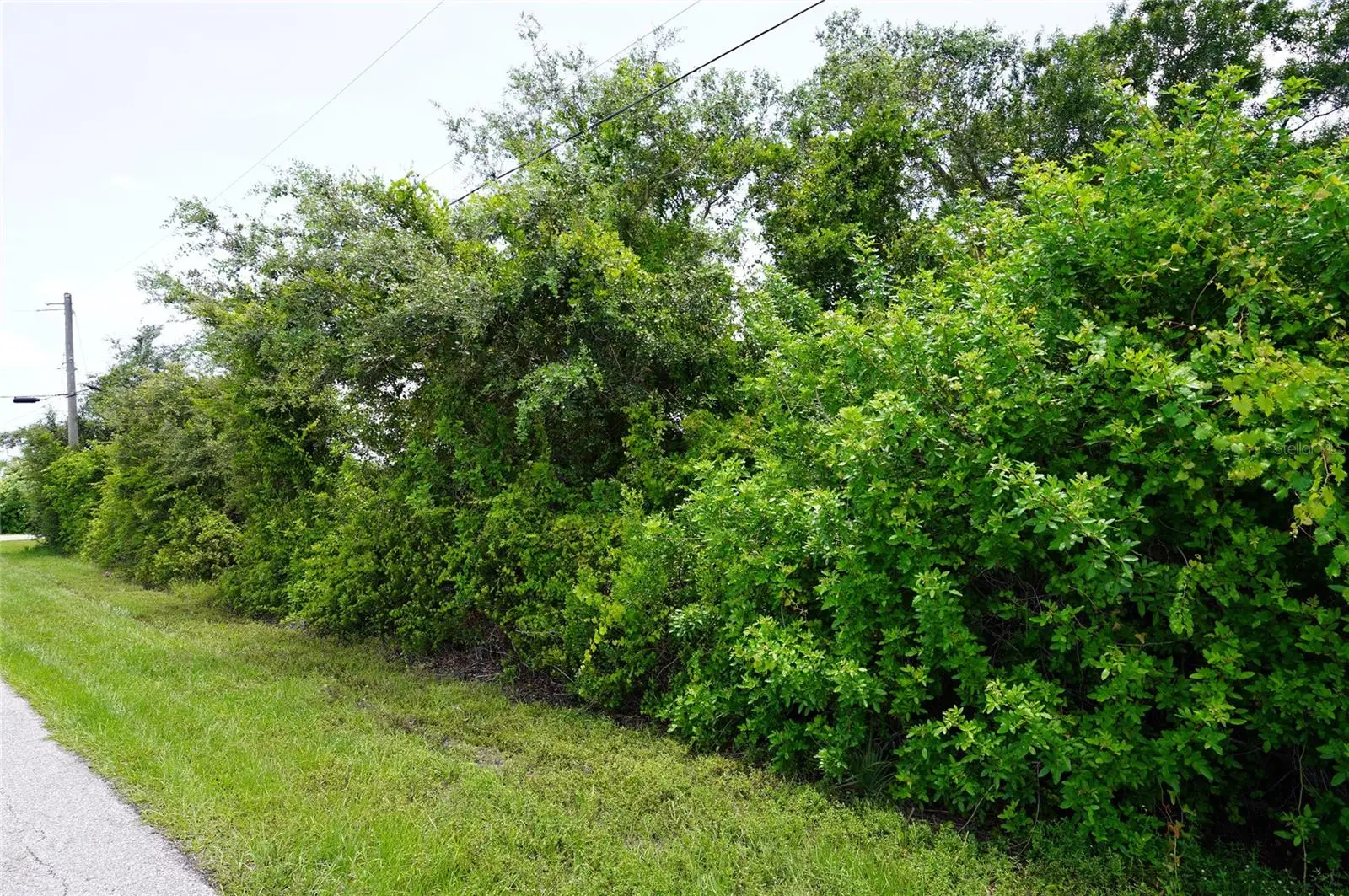 12980 Ridgely Circle, FL