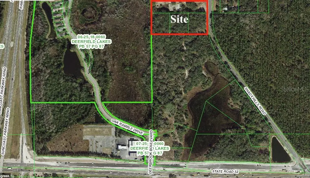 12231 Shady Hills Road, FL
