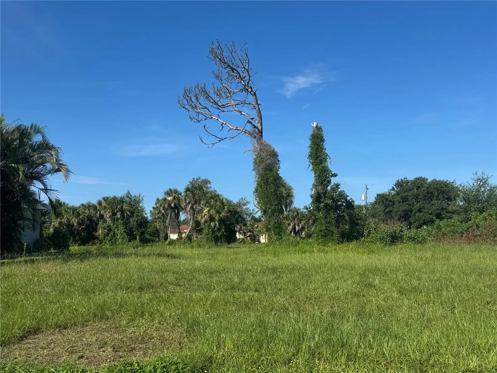 263 White Marsh Lane, FL