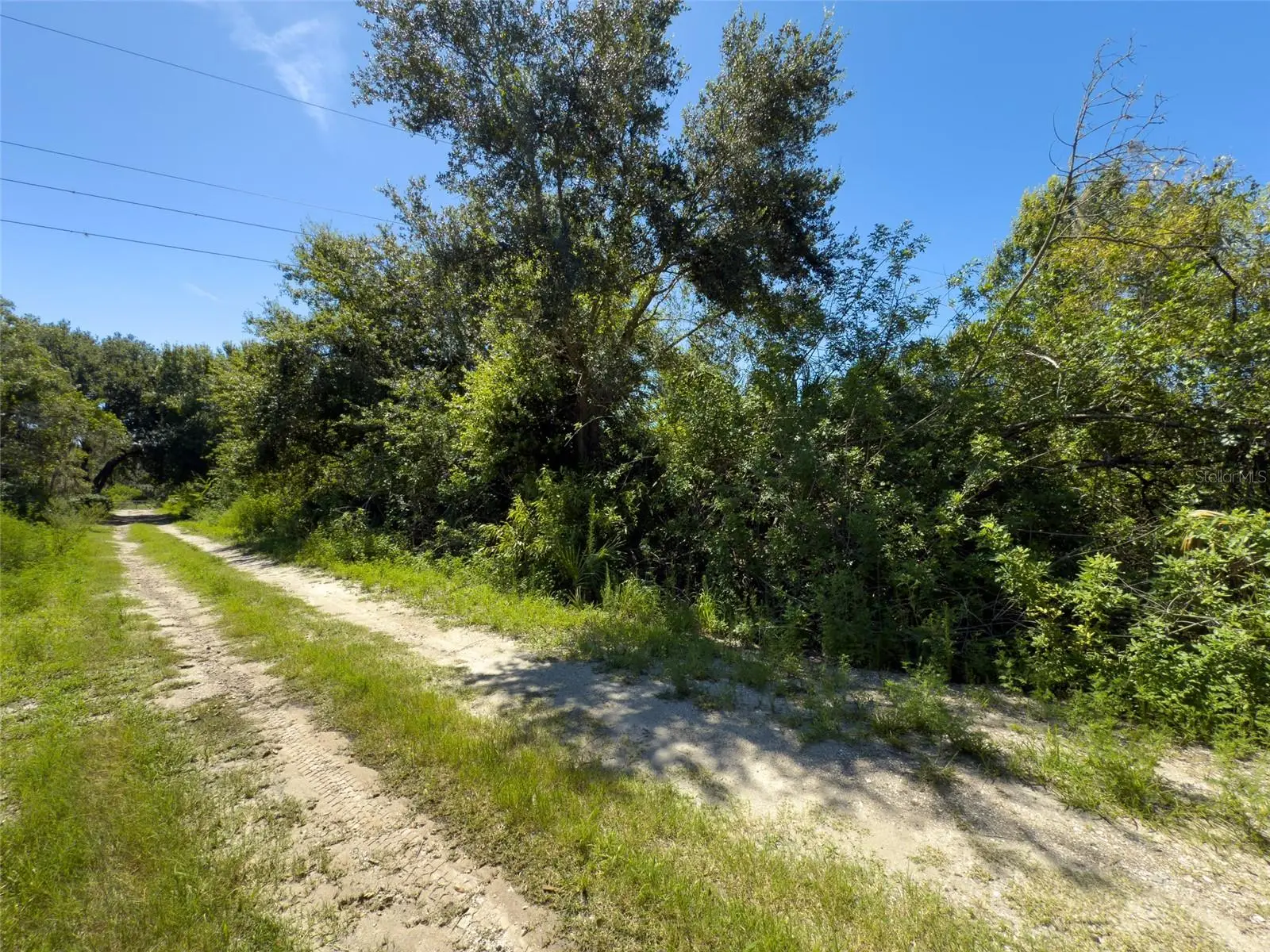 12020 Bullfrog Creek Road, FL