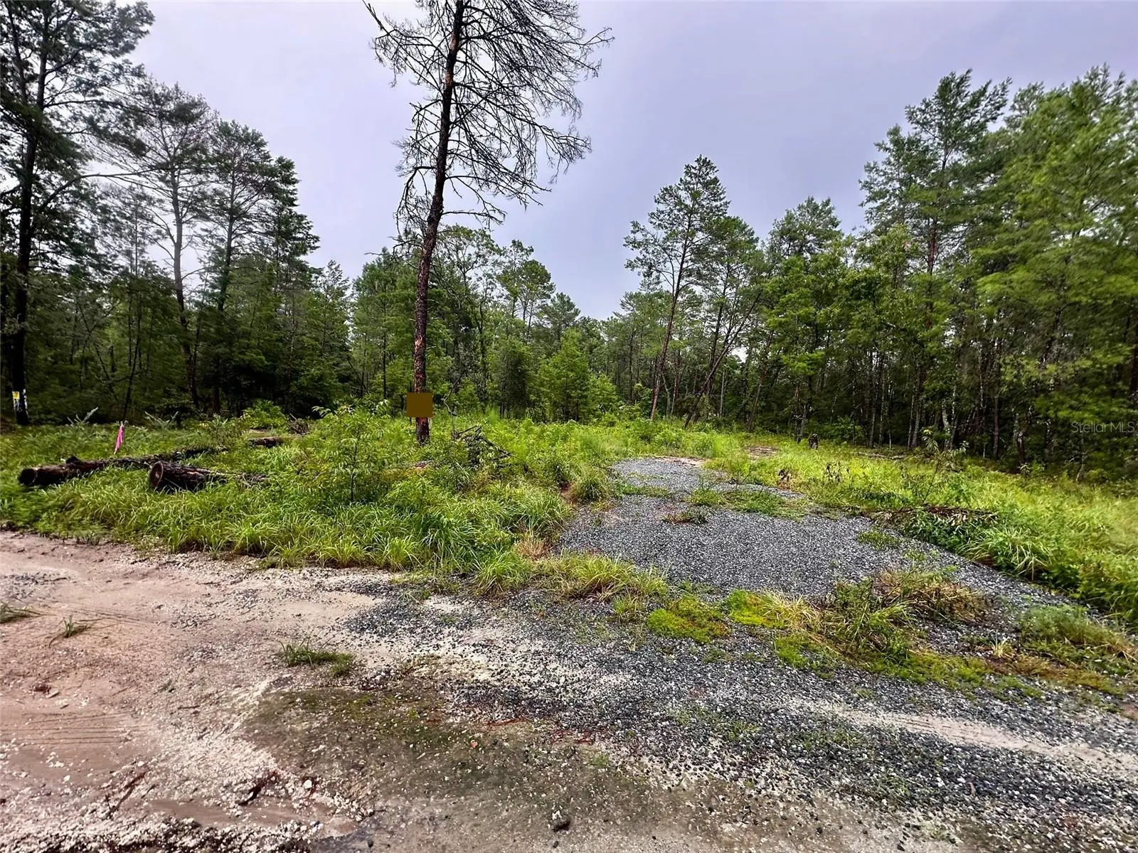 Ne 112th Ct, FL