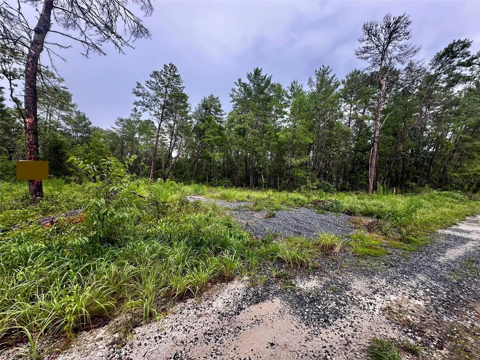Ne 112th Ct, FL