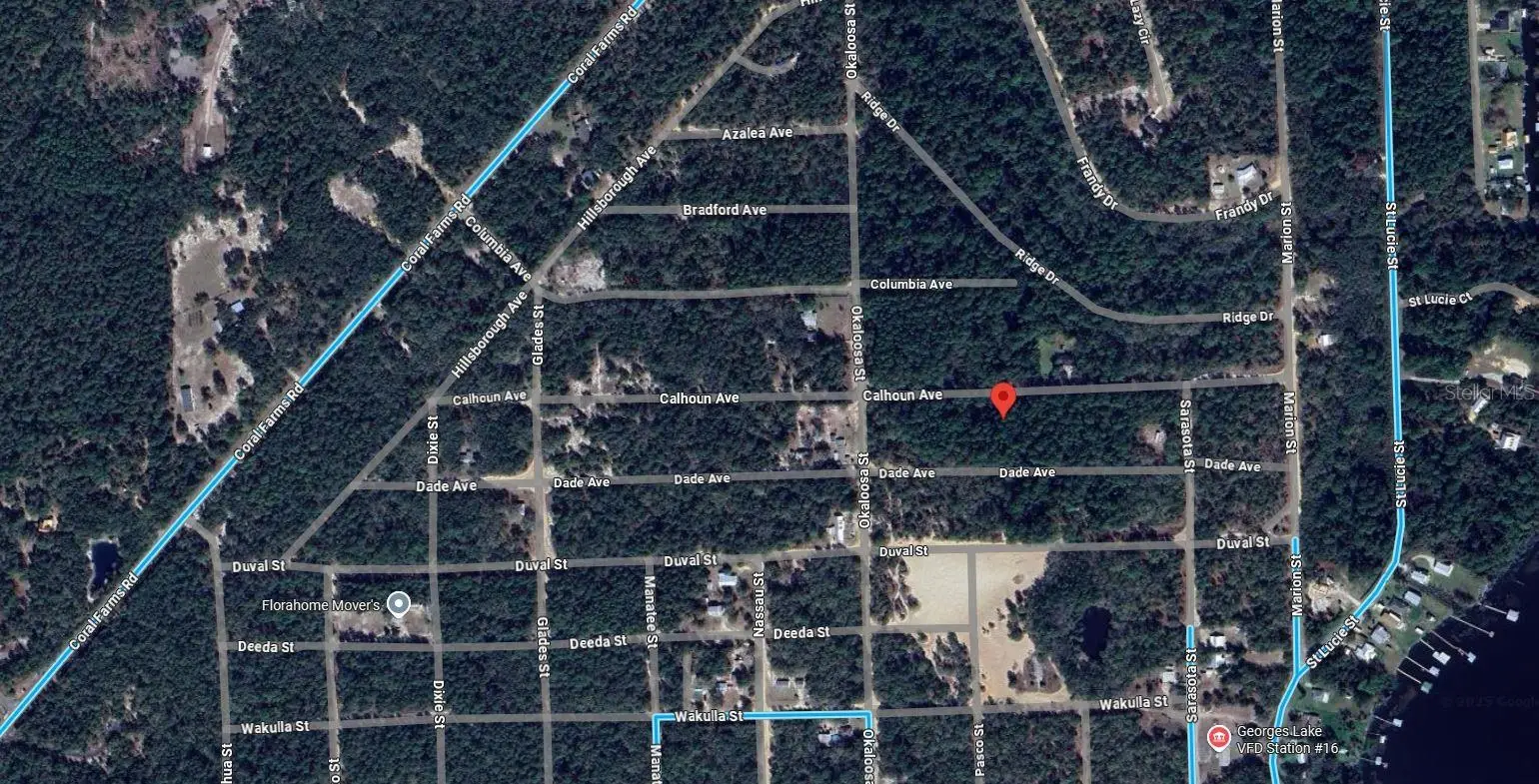 313 Calhoun Avenue, FL