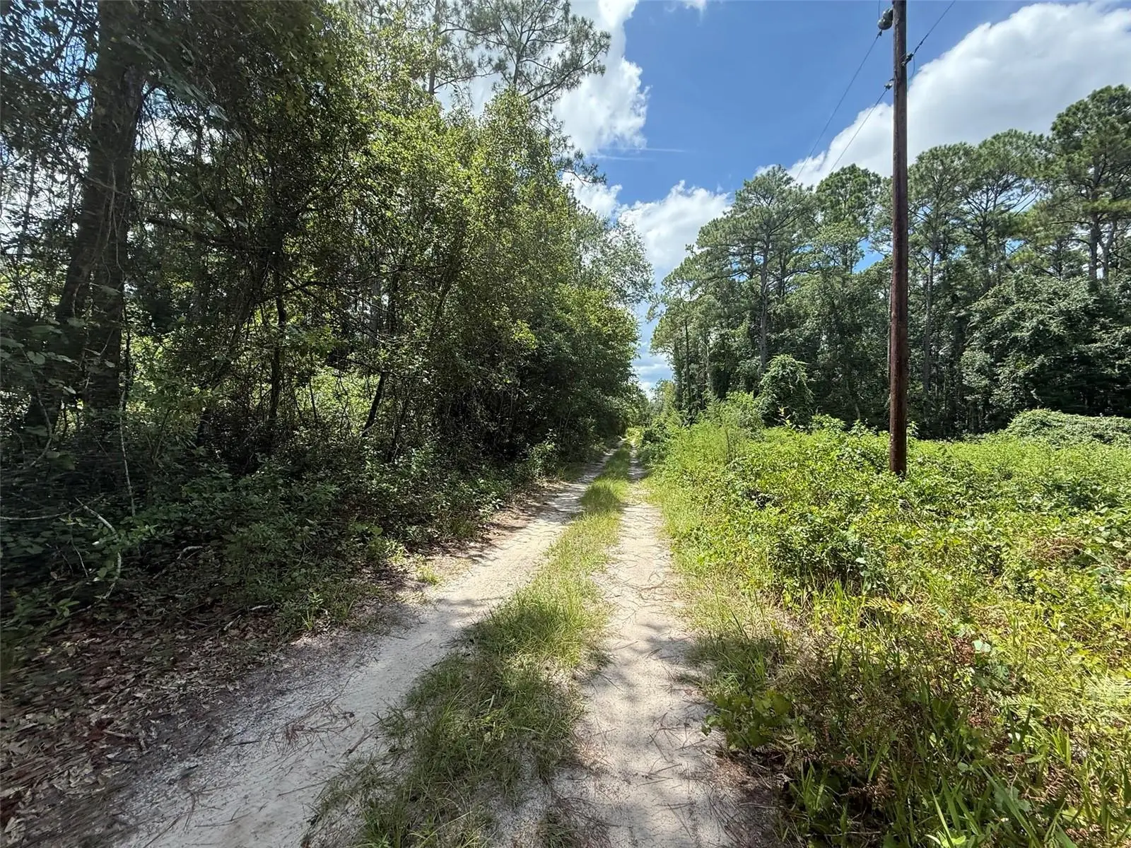 313 Calhoun Avenue, FL