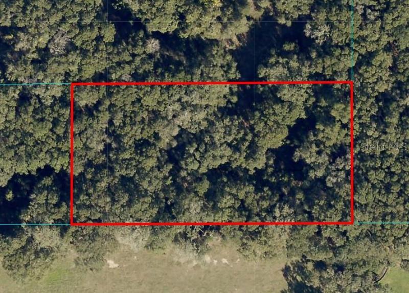 Undetermined, FL
