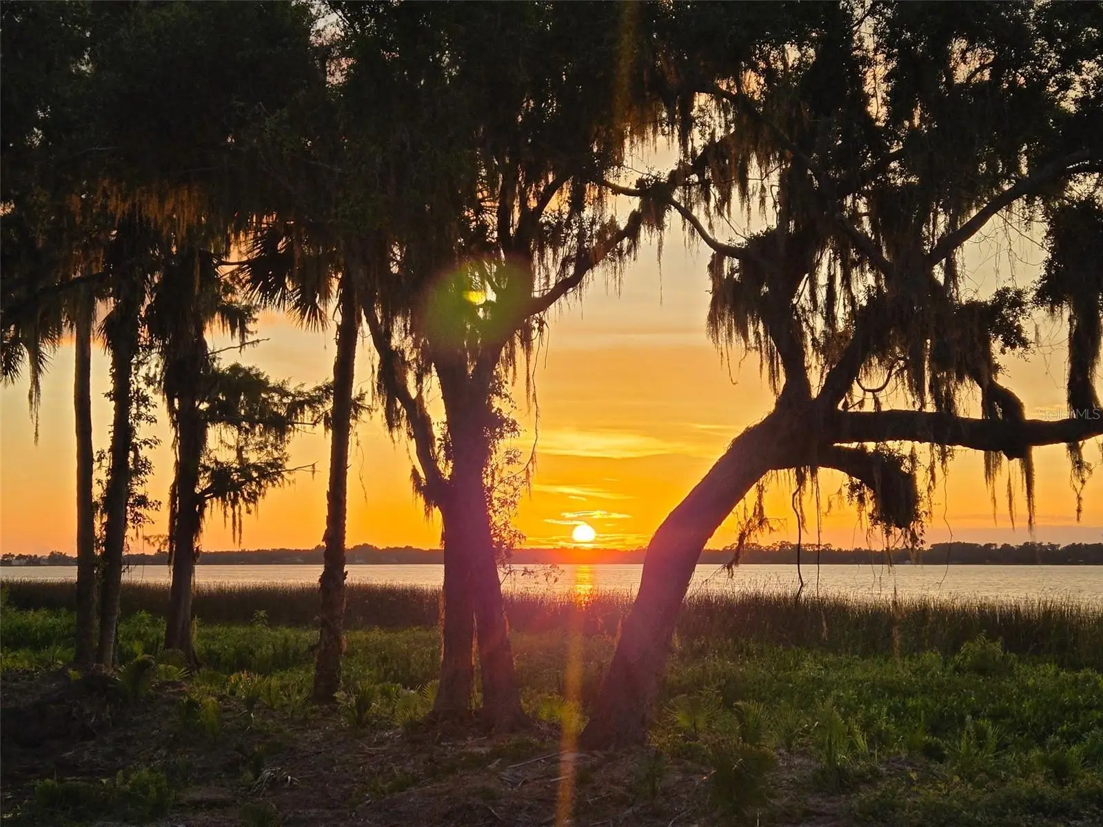 Blue Heron Circle, FL