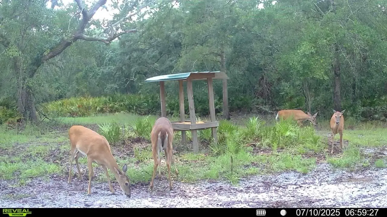 2669 Suwannee Valley Road, FL