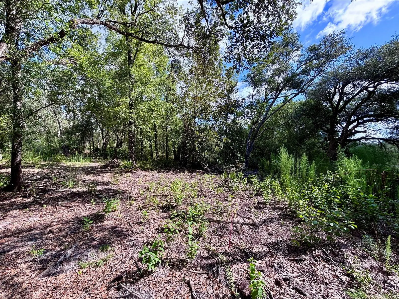 0 Bedrock Drive, FL