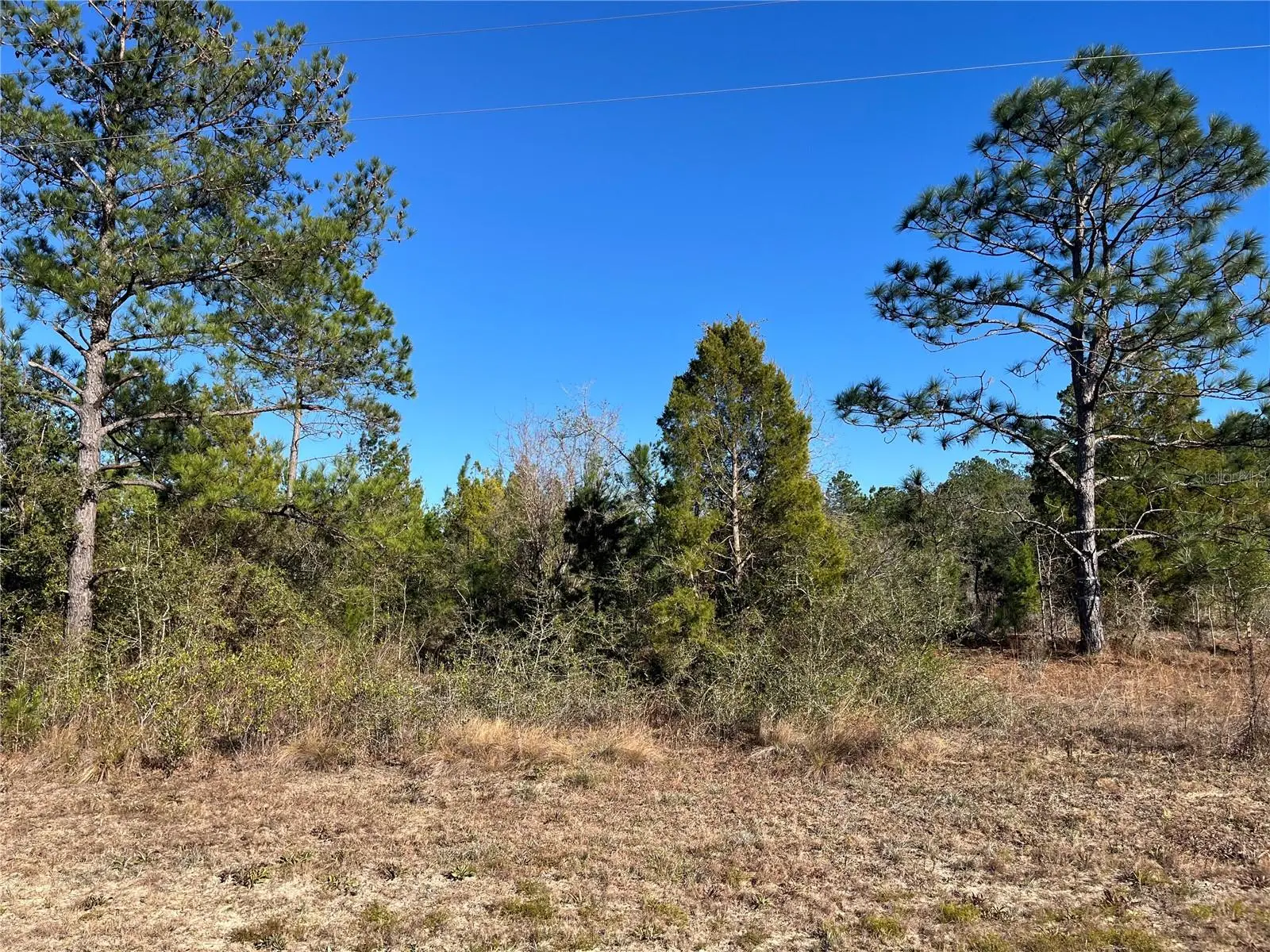Fairview Road, FL