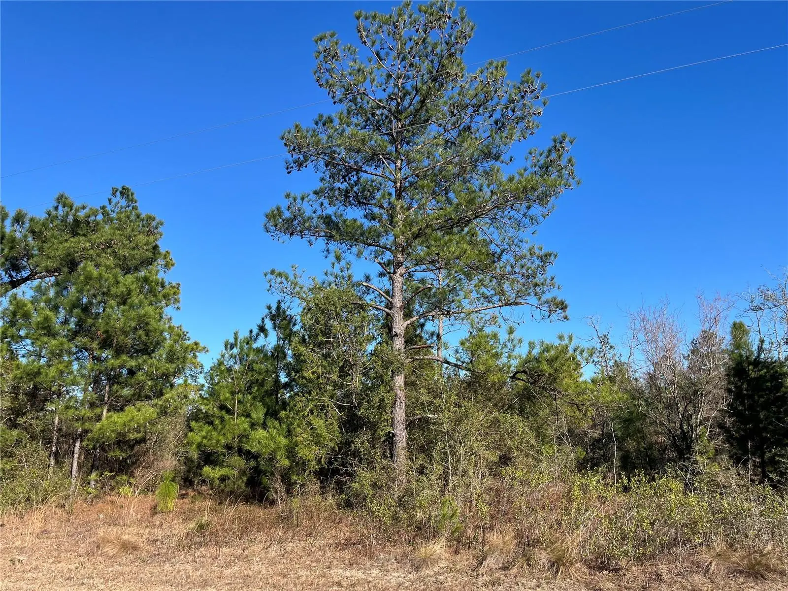 Fairview Road, FL
