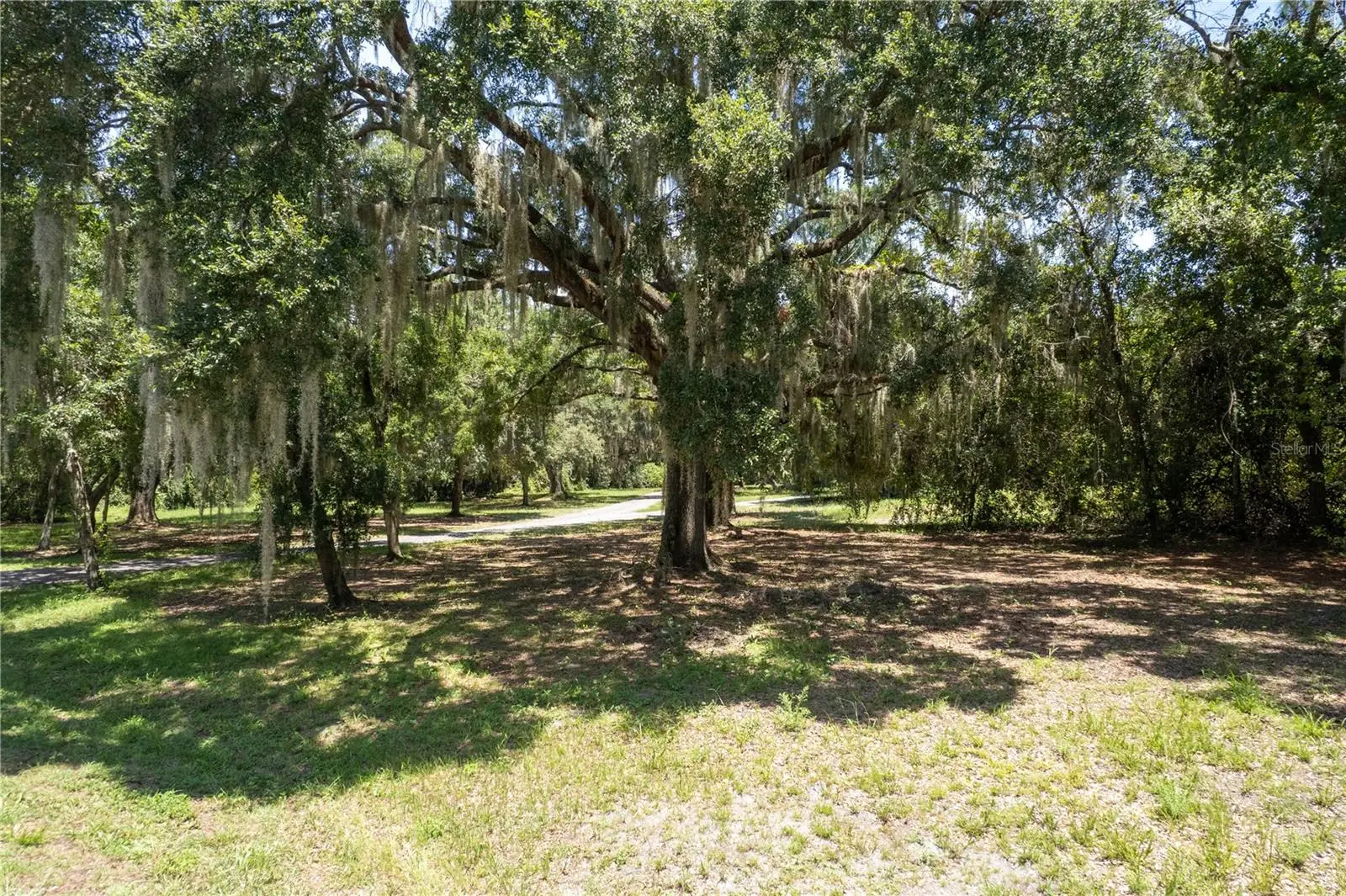2951 Seminole Road, FL