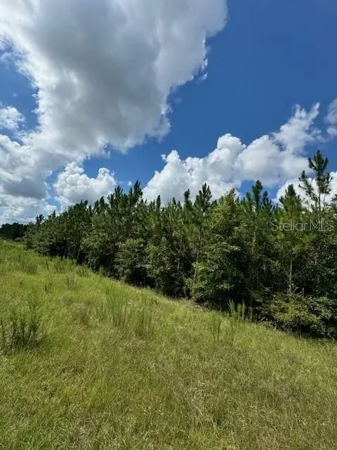 Coles Court, FL