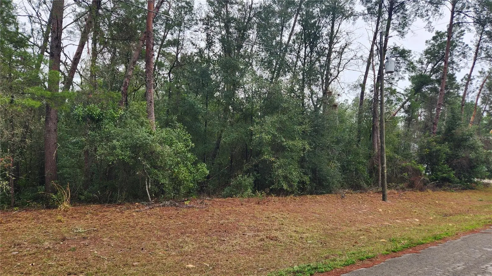 Locust Course Radial, FL