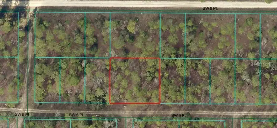 9 Place, FL