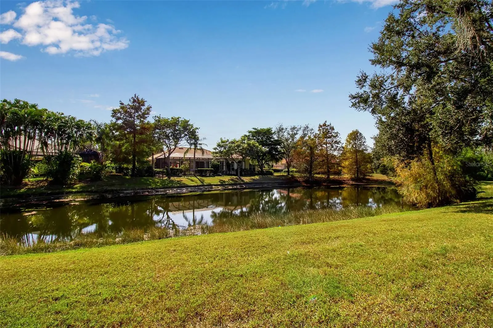8116 Lone Tree Glen, FL