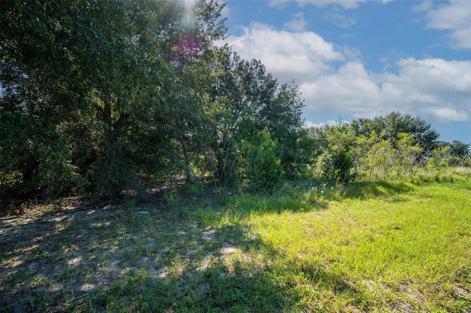 Yale Hammock Road, FL