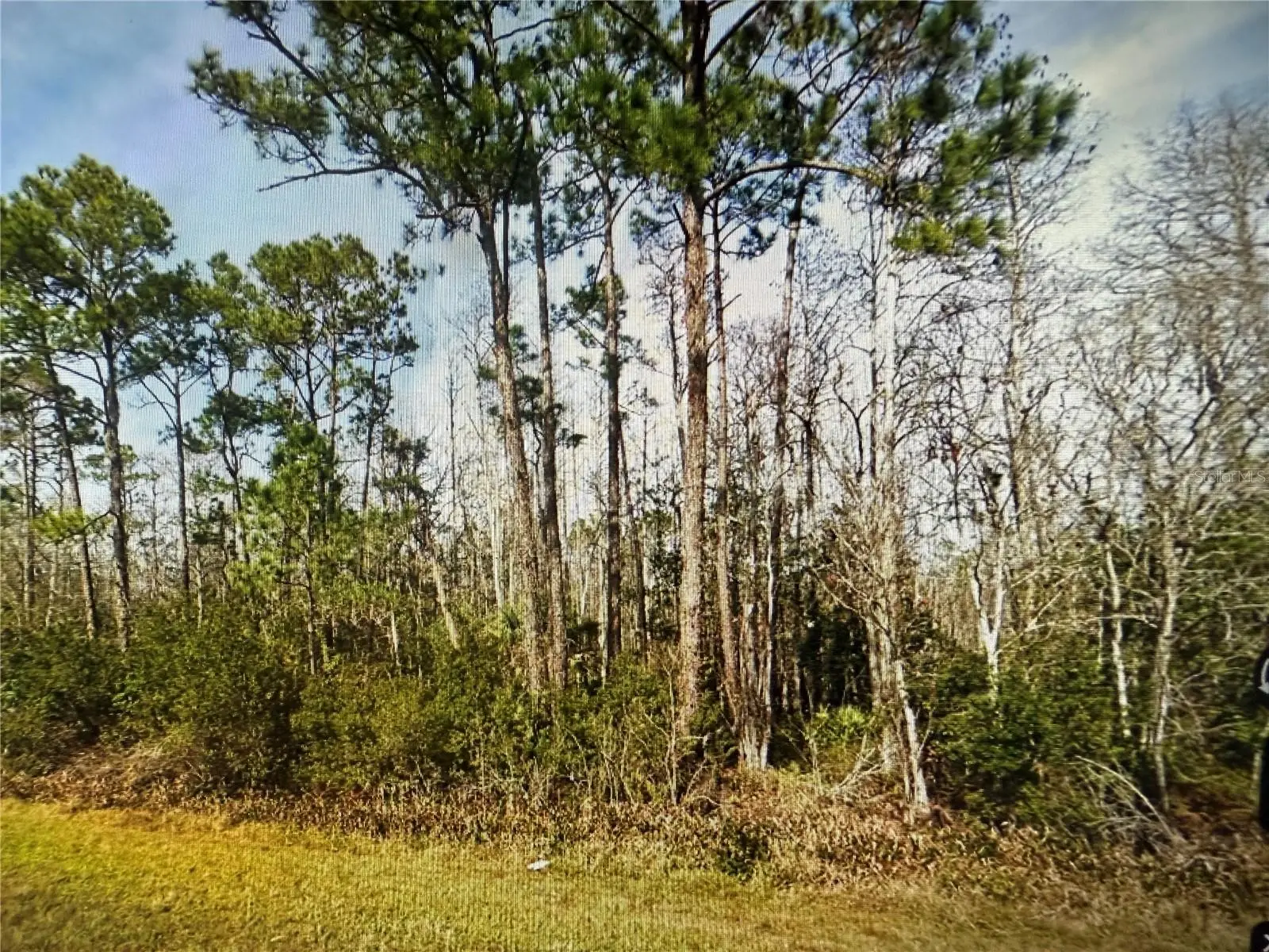 20617 Colonial Drive, FL