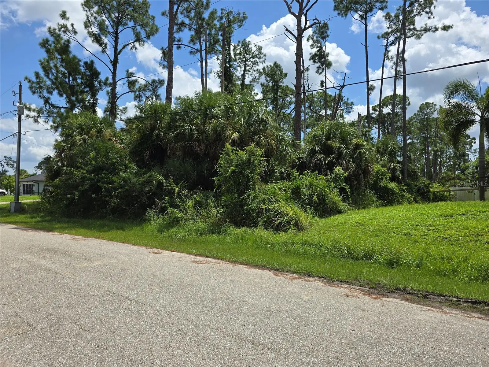 Trentwood Lane, FL