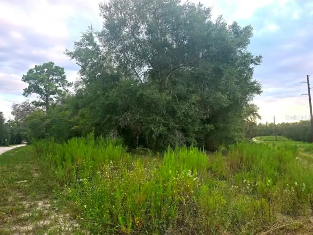 Tbd San Angelo Parkway, FL
