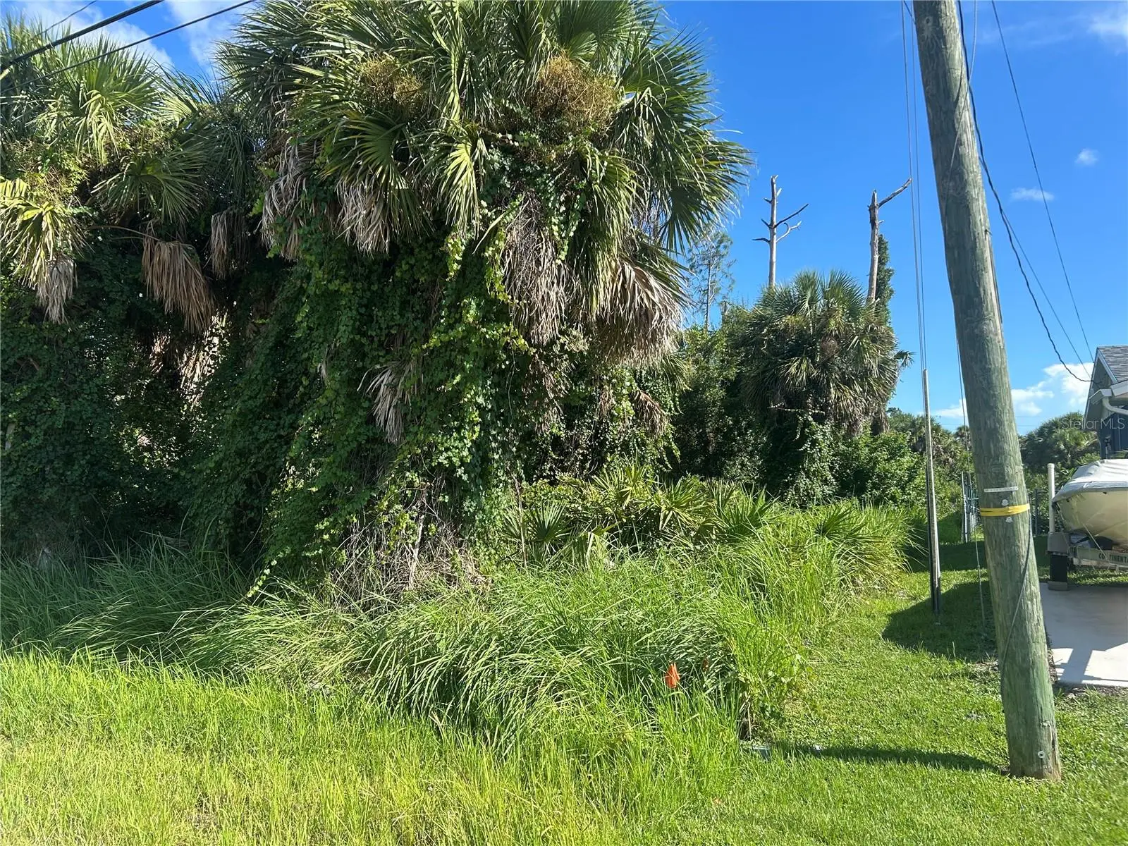 9041 Fruitland Avenue, FL