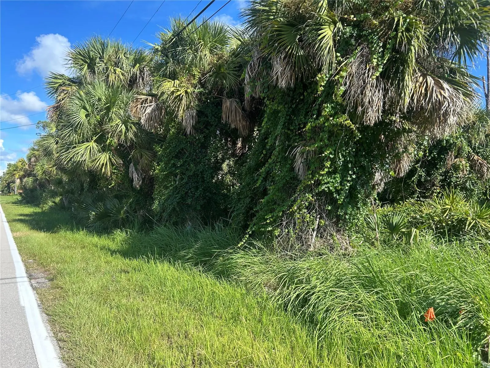 9041 Fruitland Avenue, FL