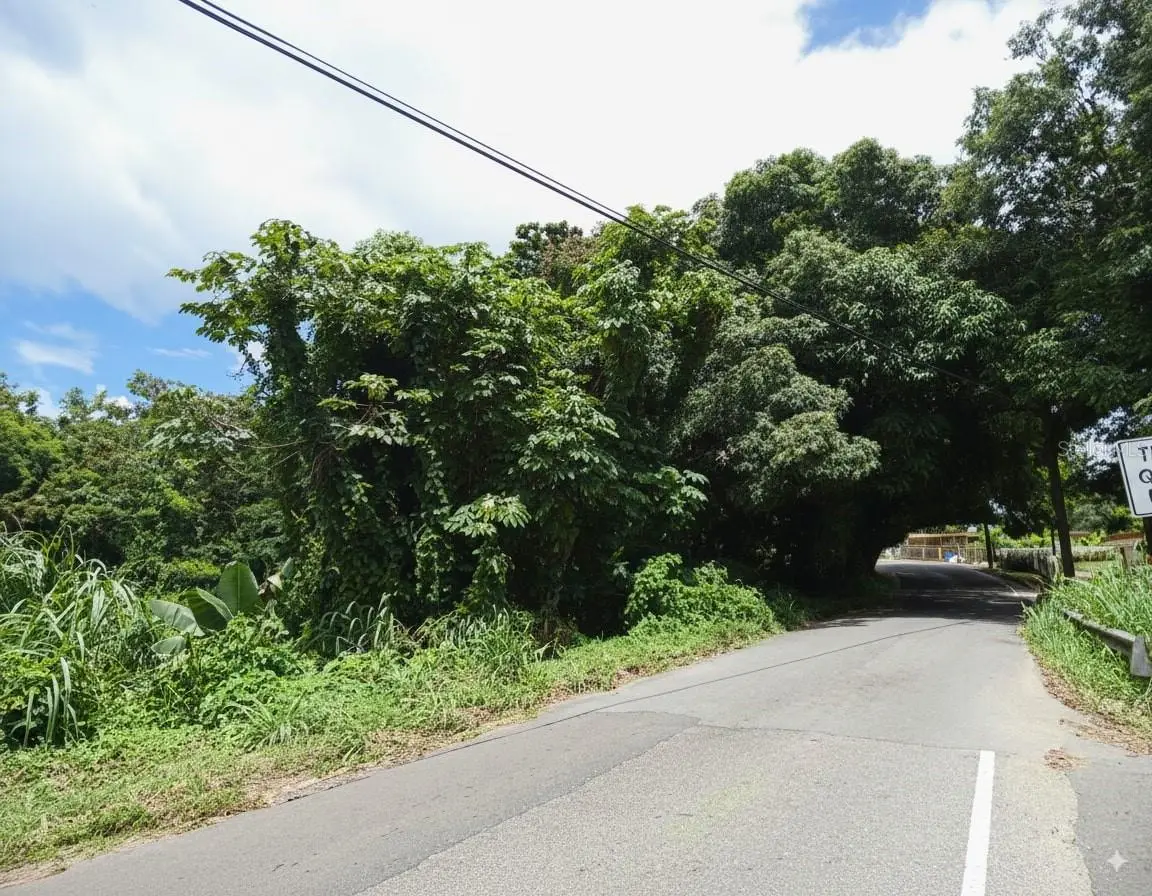 Sr 108 Km 8.1 Rio CañAs Wd, PR