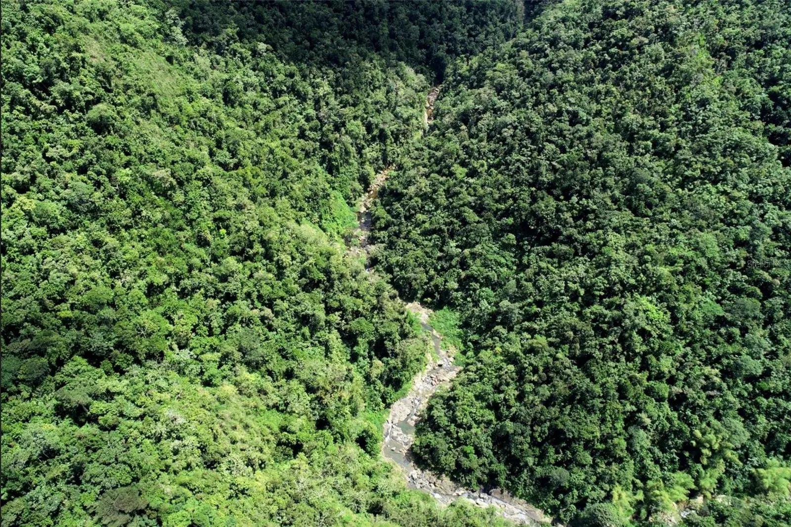 Carr.140 Bo Mameyes Abajo, PR