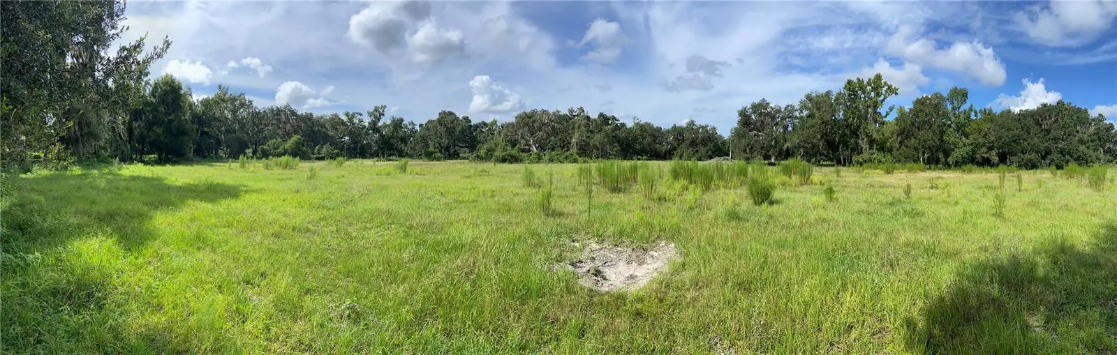Cr 772c, FL
