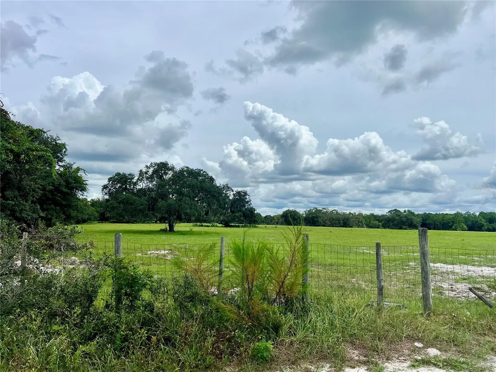 Alturas Babson Park Cut-Off, FL