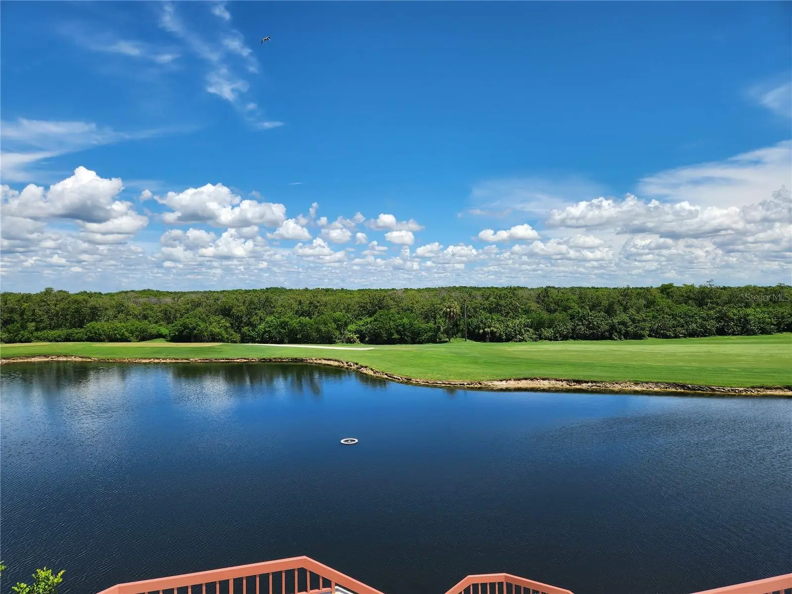 2333 Feather Sound Drive, FL