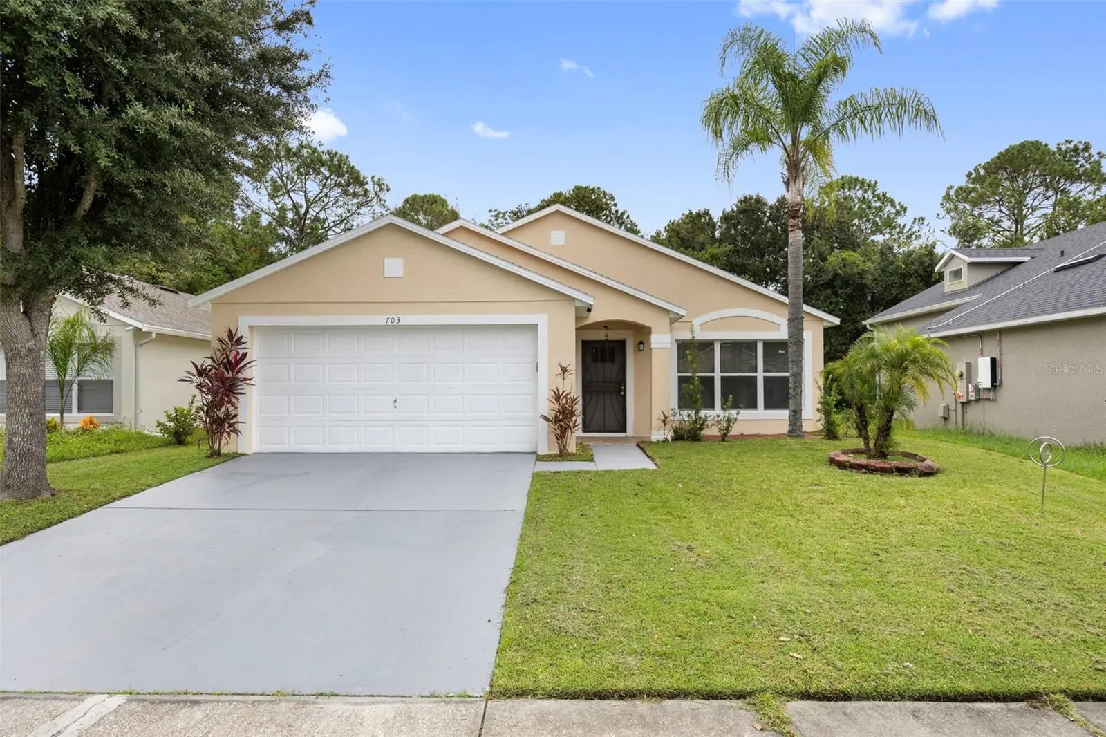 703 Palmera Street, FL
