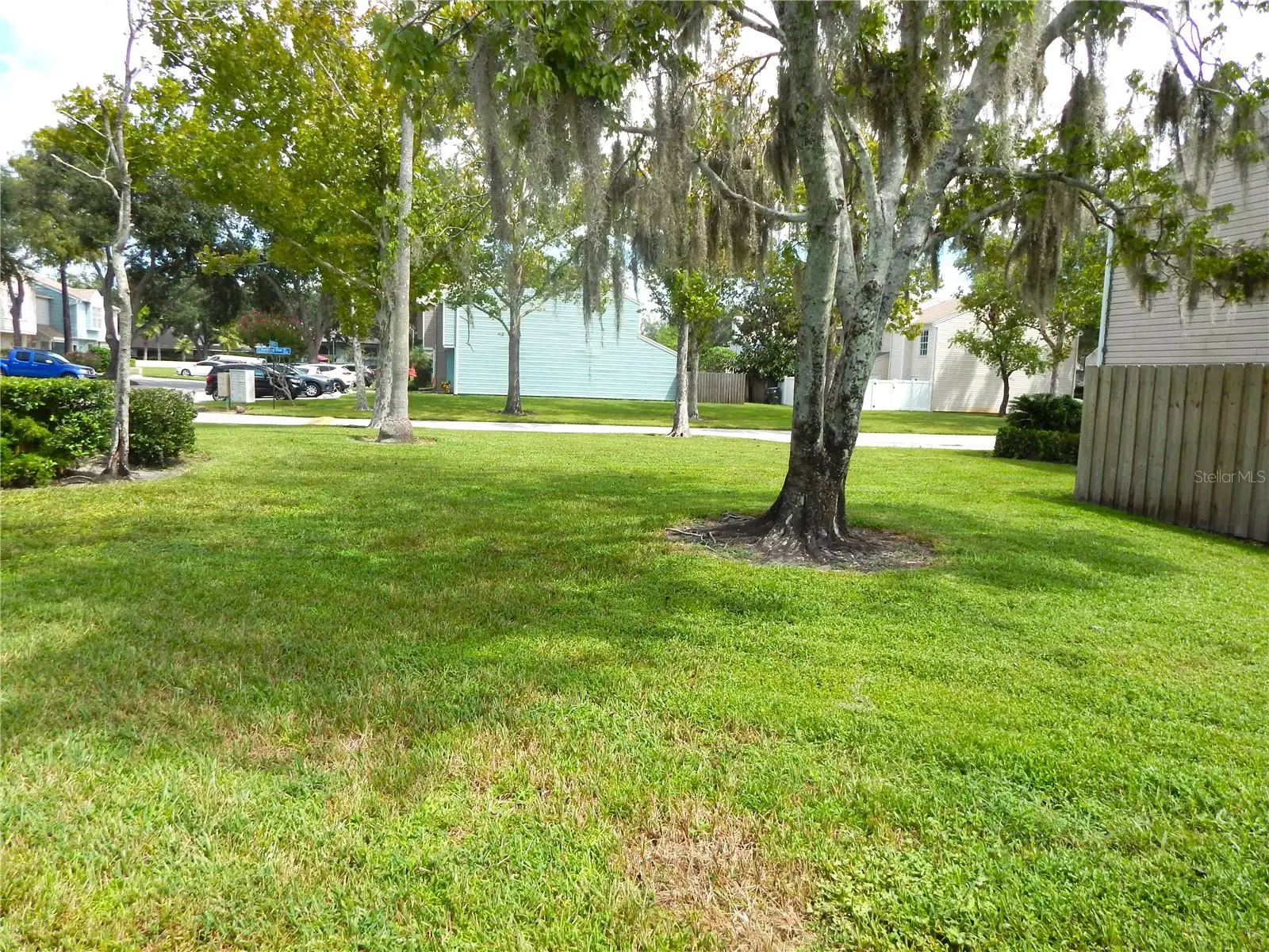 16221 Rambling Vine Drive, FL