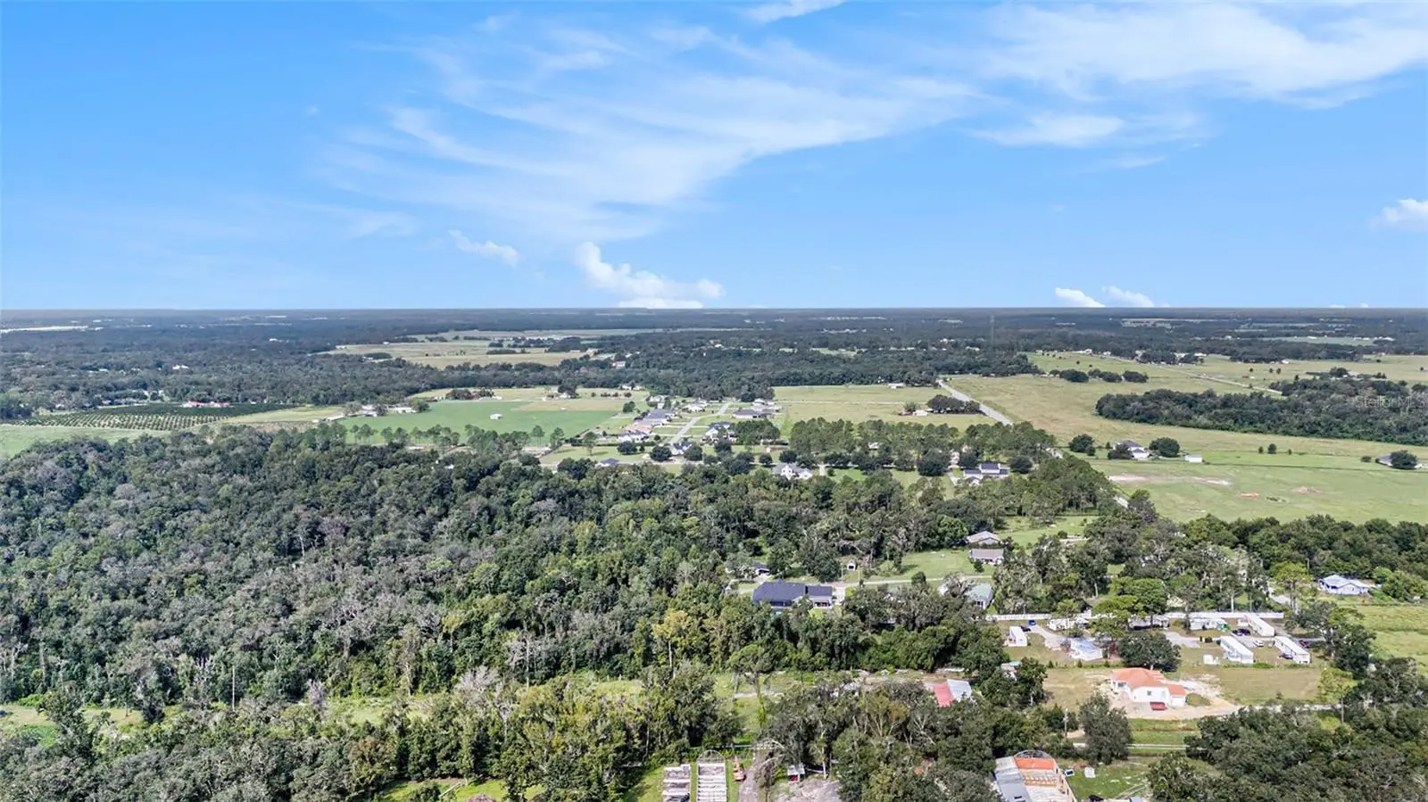 14638 Treeleaf Lane, FL