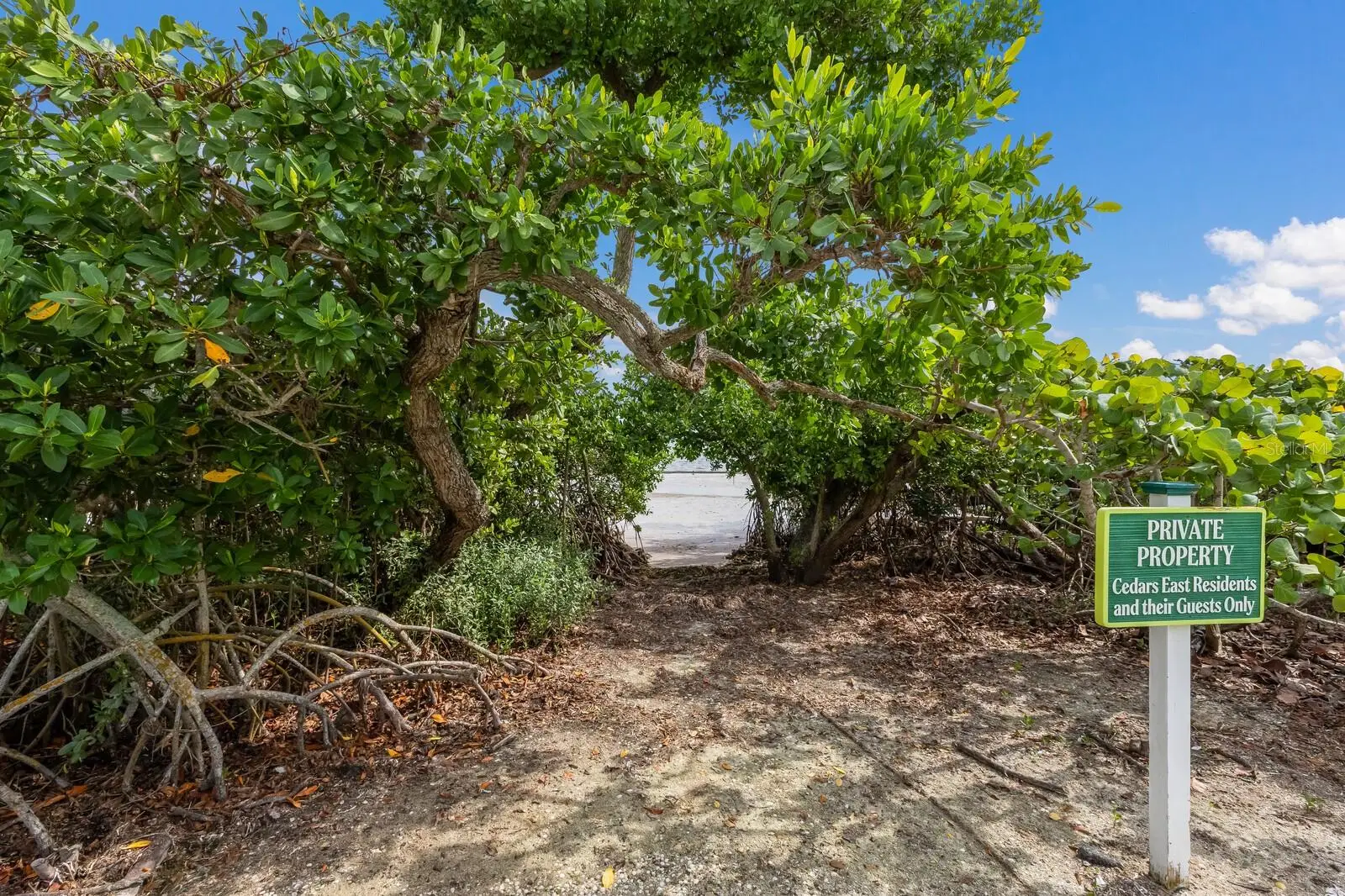 847 Evergreen Way, FL
