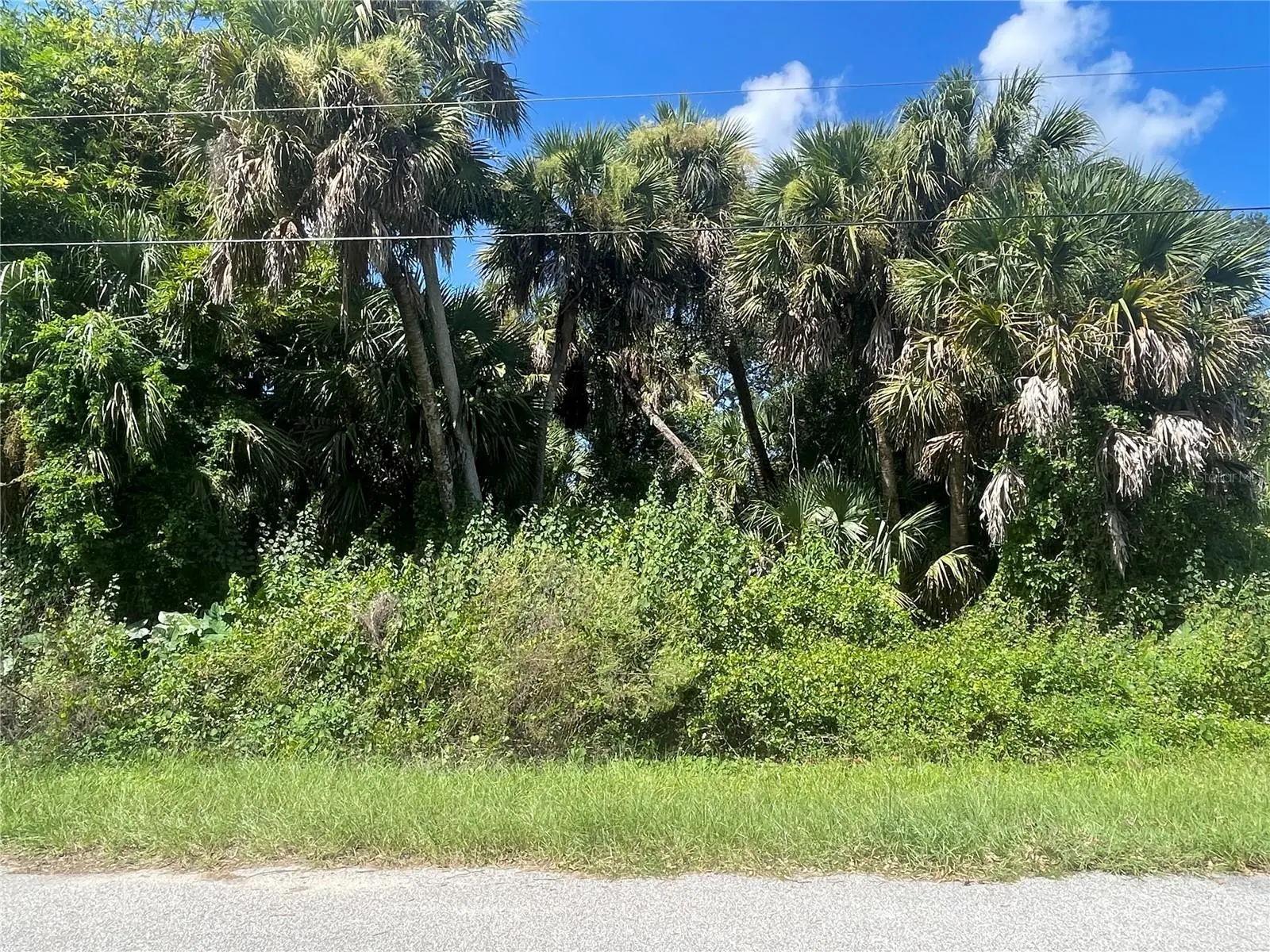 Snyder (Lot 6 Block 1019) Street, FL