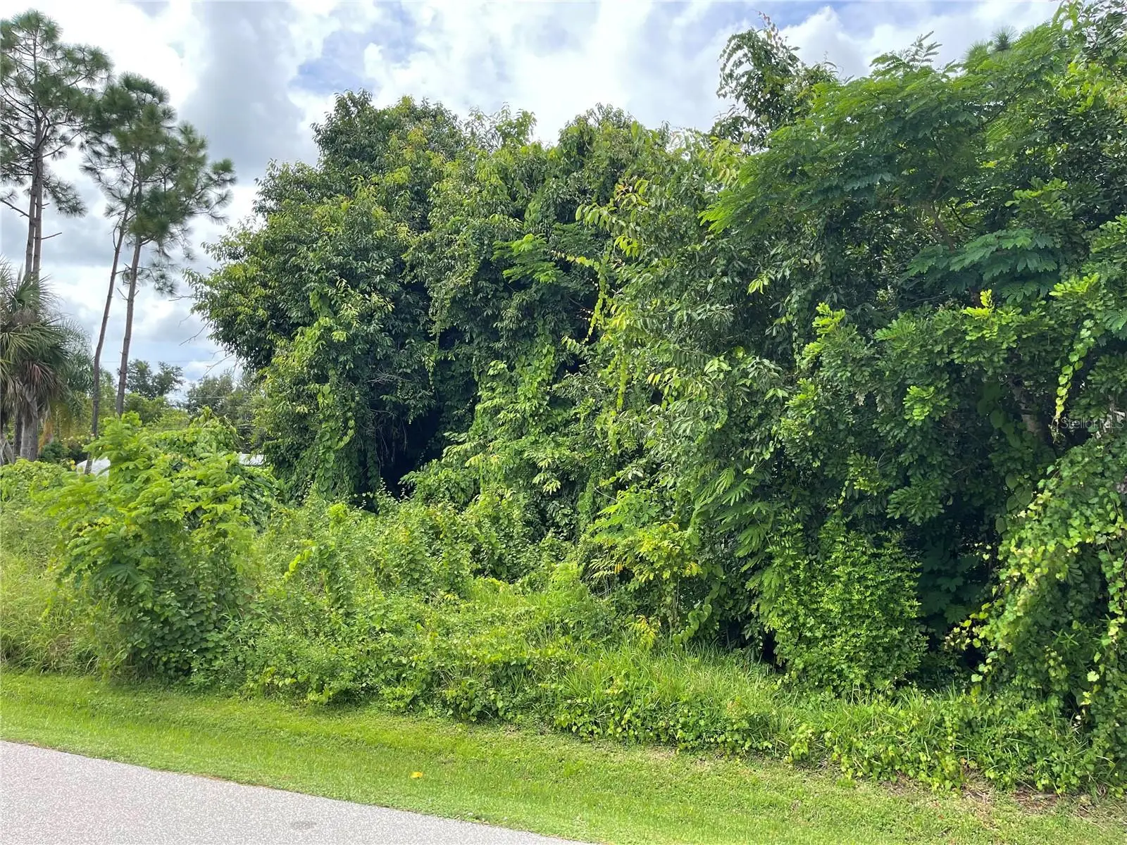 11329 Pinetrail Road, FL