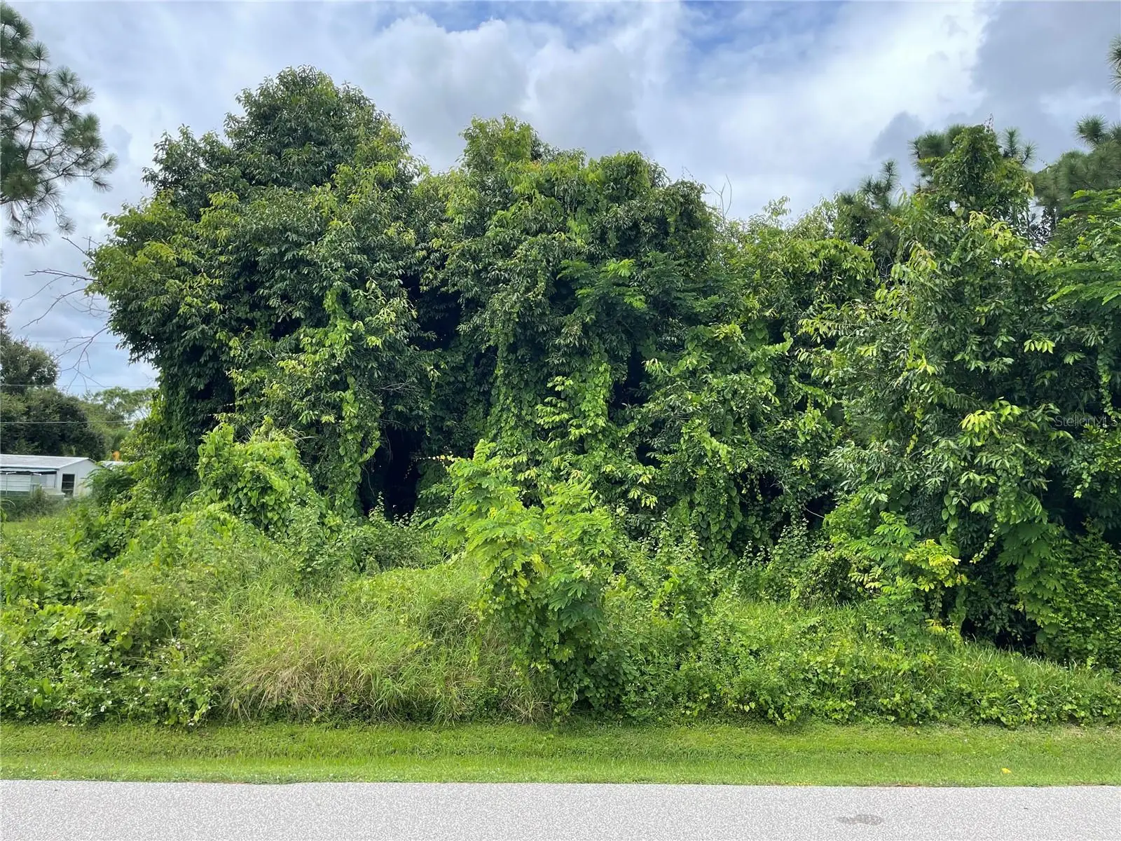11329 Pinetrail Road, FL