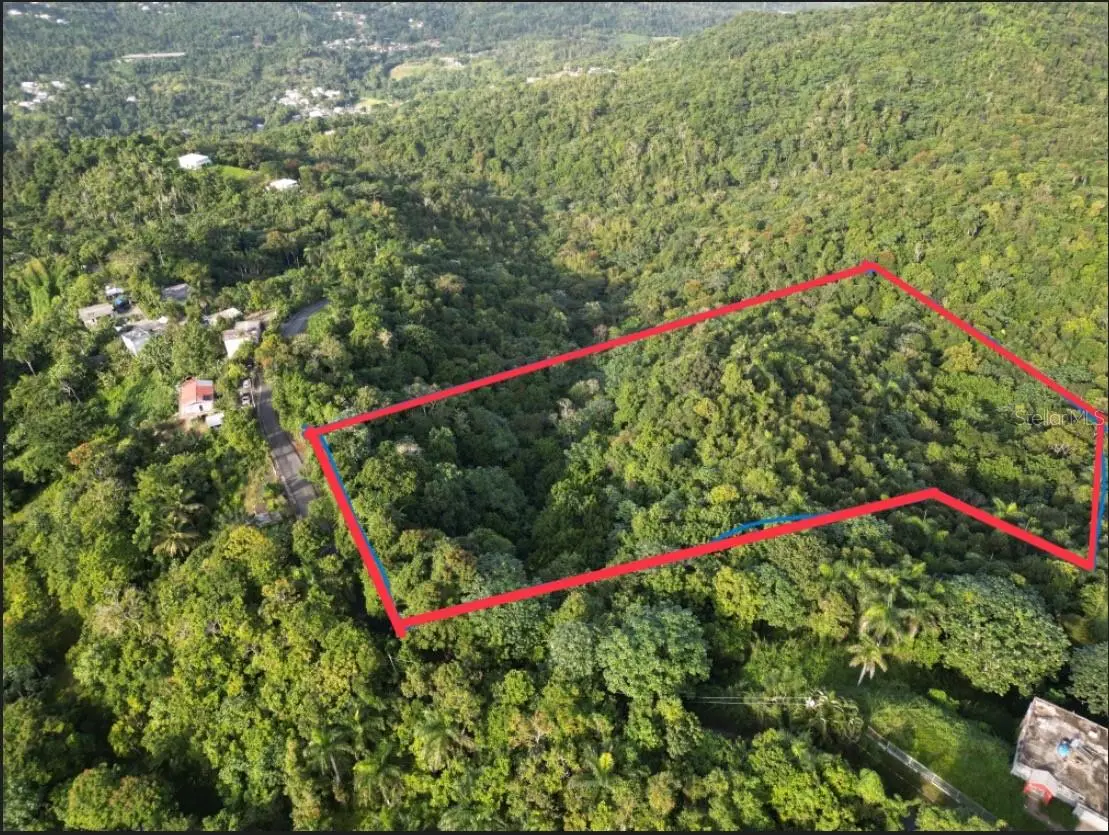 Bo Caguitas , Carr 785 Km.Hm 4.2,, PR